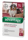 Advantage Cão 250 (10 - 25 Kgs) Vermelho - 4 Pip.