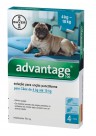 Advantage Cão 100 (4 - 10 Kgs) Azul - 4 Pip.